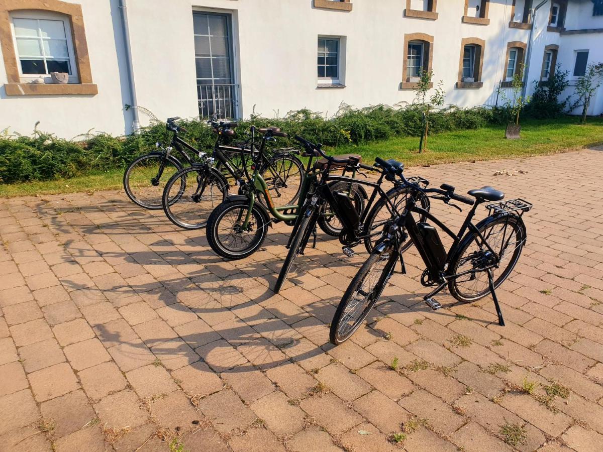 Grosse Bauernhaus Ferienwohnungen Bis 100Qm Mit E-Bike-Verleih Bad Rothenfelde Exterior foto